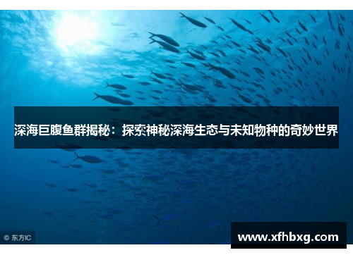 深海巨腹鱼群揭秘：探索神秘深海生态与未知物种的奇妙世界